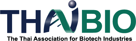 Asset 17